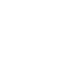 Branding Copyright Icon